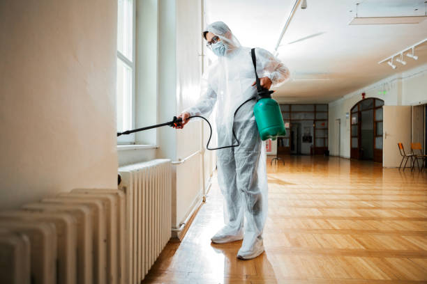 Best Residential Pest Control  in Tolono, IL